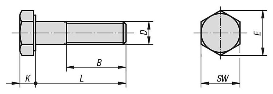 Tornillo 7x60      Ref.00553